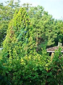 Agriturismo Radamez Monzambano 0*,