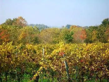 Bauernhof Agriturismo Radamez Monzambano Italien